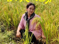 -崖口云吞(中堡店)