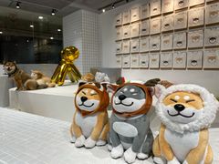 -柴务处·柴犬主题狗咖