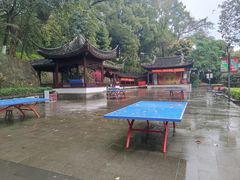 -忠山公园