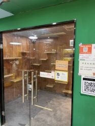 点击看大图 -神奇动物撸宠馆·羊驼·小浣熊·异宠(豫园店)