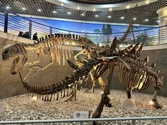 -国家自然博物馆