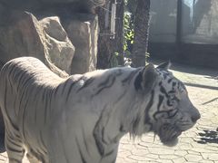 -昆明动物园