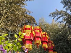 -红螺寺