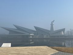 -盐城丹顶鹤湿地生态旅游区