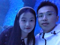 -多彩贵州城极地海洋世界