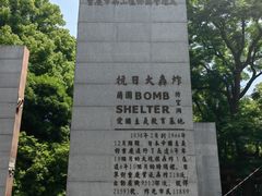 -南山植物园