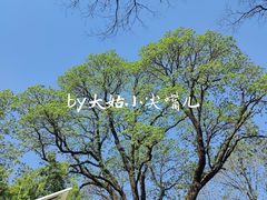 -潭柘寺景区