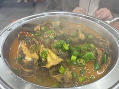 -全乐鱼馆·淳牌有机鱼直营店