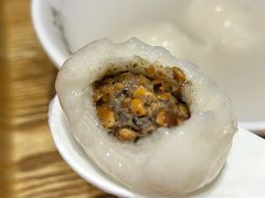 -海丝金凤(金鱼店)