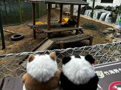 -栾川竹海野生动物园