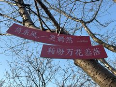 -香雪海