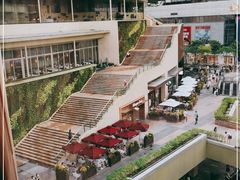 -润园四季椰子鸡火锅(南山海岸城店)