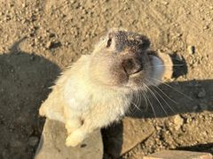 -苏州太湖西山岛开心农场