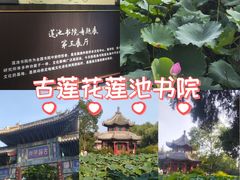 -莲池书院博物馆
