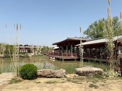 -洛阳古墓博物馆