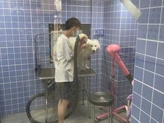 -爱佳宠物中心医院24H·CT·骨外科·猫专科(瑶海万达店)