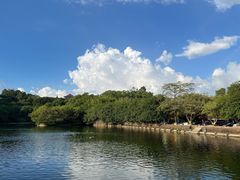 -广州莲花山旅游区