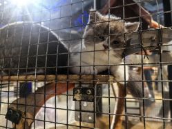 -酷嗒动物文化乐园(cutezoo西溪乐天城店)