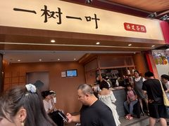 -一树一叶·福建茶档(石鼓路店)