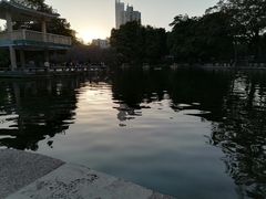 -晓港公园