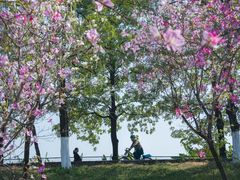 -广东花都湖国家湿地公园