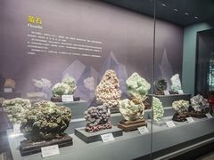 -湖南省地质博物馆
