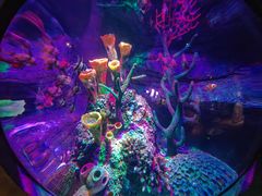 -沈阳海洋探索中心