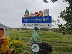 -苏州太湖西山岛开心农场
