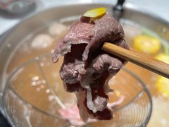 -汕头八合里海记牛肉店(清河店)