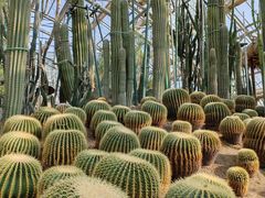 -南山植物园