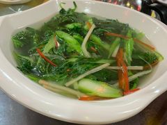 -东鸽皇(奥园·中环广场店)