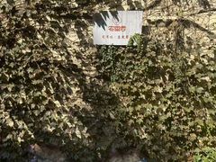 -宅里香.自然餐厅(湘大店)