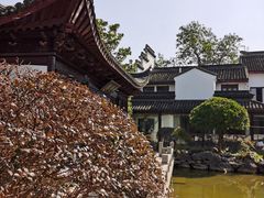 -碧丽宫大酒店(召稼楼店)