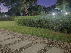 -河泥荡文化公园