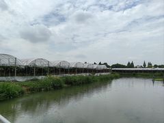 -马陆小张葡萄园农家乐