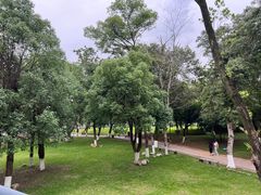 -永安龟山公园
