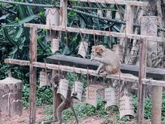 -广州长隆野生动物世界