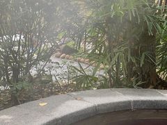 -融汇温泉