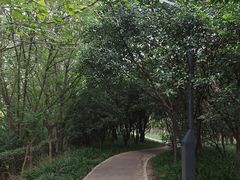 -四里河滨水生态公园