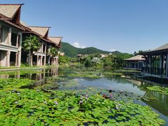-广州都喜泰丽温泉度假酒店