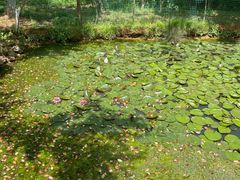 -盘龙城国家考古遗址公园