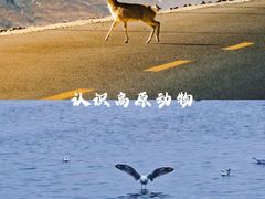 -青海湖二郎剑景区