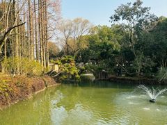 -上海醉白池公园