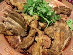 -友乐居羊蝎子(西直门店)