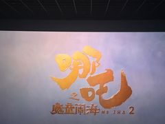 -汉阳天河电影城(王家湾店)