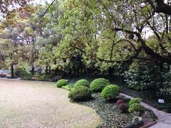 -申粤轩酒楼·三十年粤菜经典(丁香花园店)
