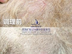 -汪小喵宠物·戴维斯乐芳希施宠馨宝皮毛调理洗护店