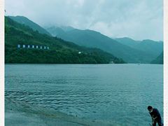 -后柳水乡