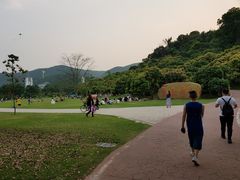 -大屏嶂森林公园