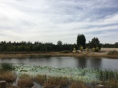 -东郊湿地公园